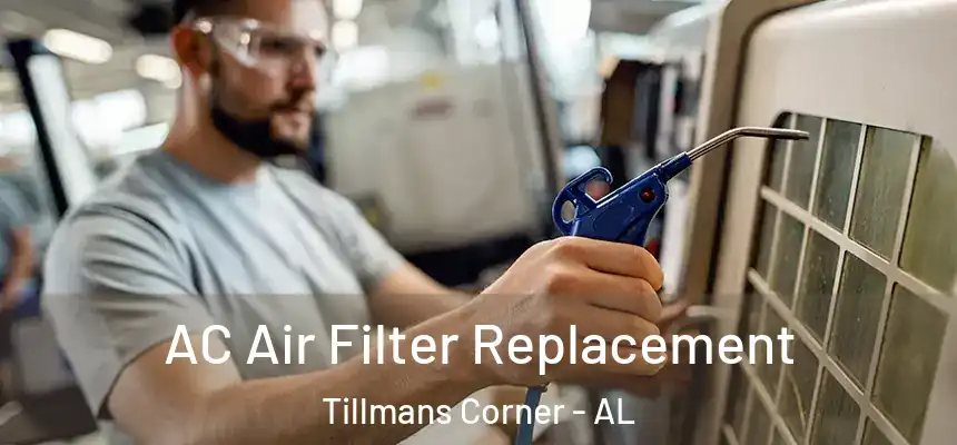  AC Air Filter Replacement Tillmans Corner - AL