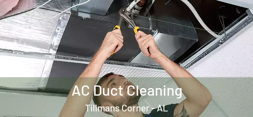 AC Duct Cleaning Tillmans Corner - AL