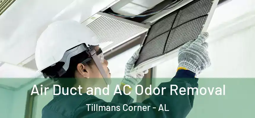  Air Duct and AC Odor Removal Tillmans Corner - AL