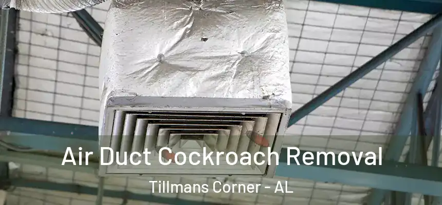  Air Duct Cockroach Removal Tillmans Corner - AL