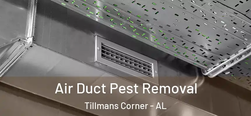  Air Duct Pest Removal Tillmans Corner - AL