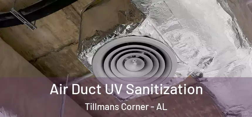  Air Duct UV Sanitization Tillmans Corner - AL