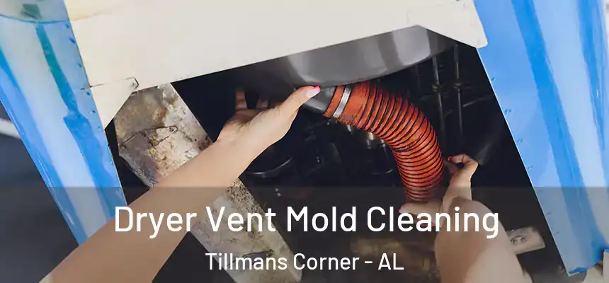  Dryer Vent Mold Cleaning Tillmans Corner - AL