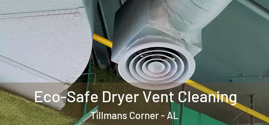  Eco-Safe Dryer Vent Cleaning Tillmans Corner - AL
