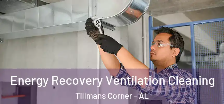  Energy Recovery Ventilation Cleaning Tillmans Corner - AL