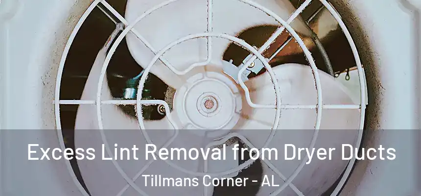  Excess Lint Removal from Dryer Ducts Tillmans Corner - AL