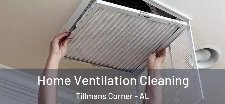  Home Ventilation Cleaning Tillmans Corner - AL