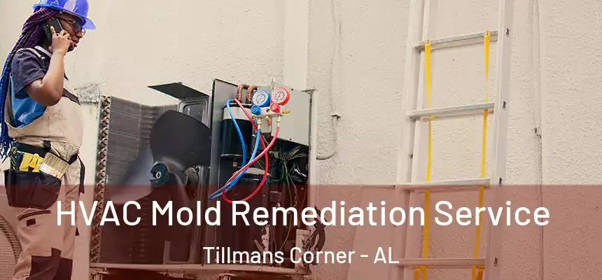  HVAC Mold Remediation Service Tillmans Corner - AL