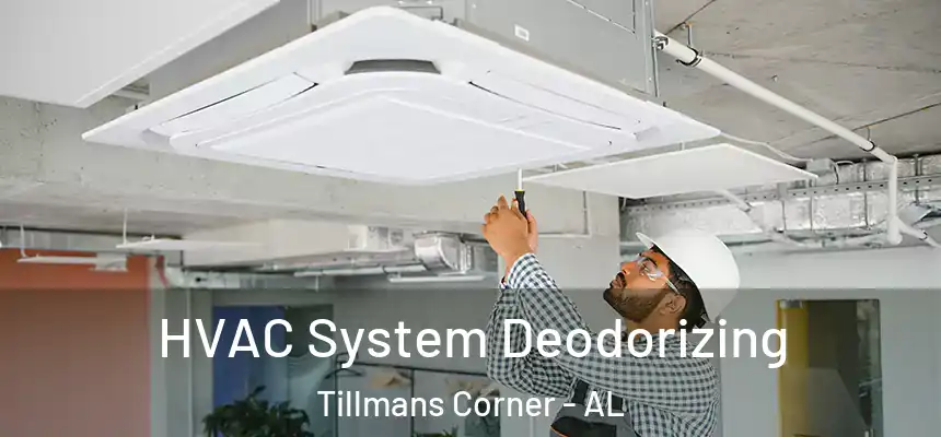  HVAC System Deodorizing Tillmans Corner - AL