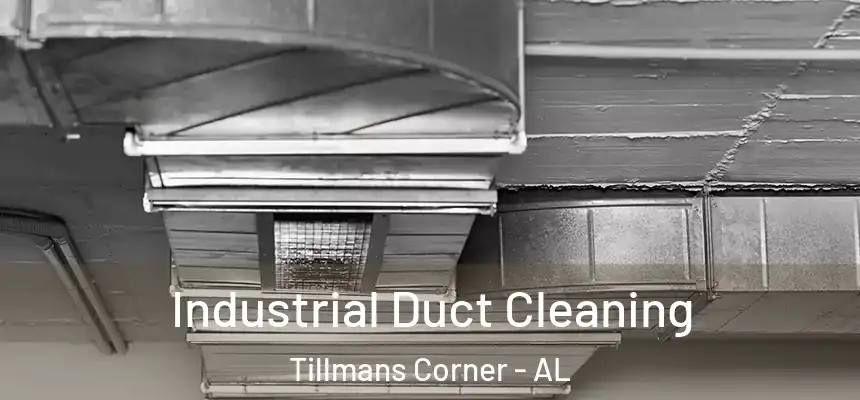  Industrial Duct Cleaning Tillmans Corner - AL