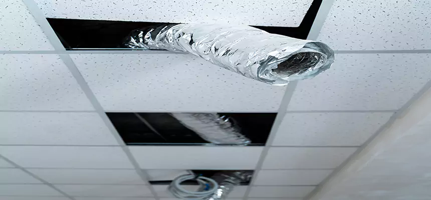 Our Air Duct Pet Hair Removal Services in Tillmans Corner, AL