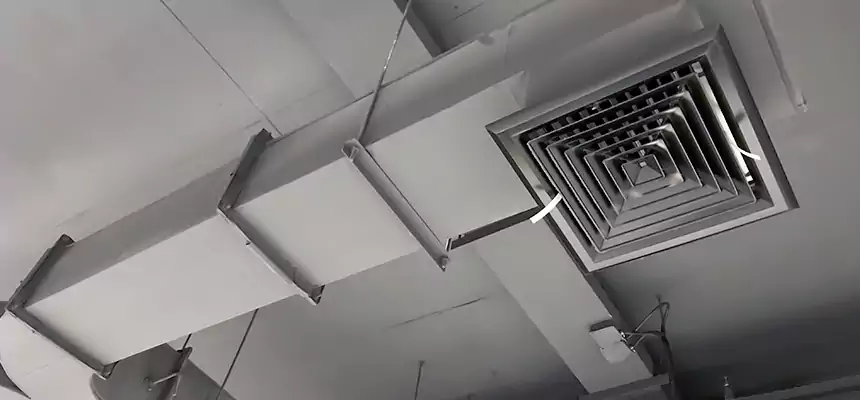 Restorative Allergy Relief Vent Cleaning – Coil, Blower & Housing Detail in Tillmans Corner