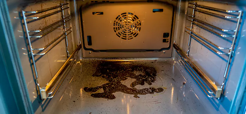 Our Dryer Vent Mold Cleaning Services in Tillmans Corner, AL