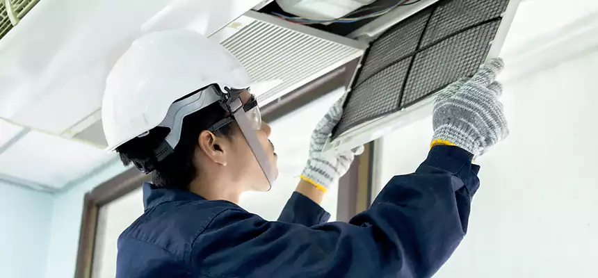 Our Mold & Mildew Removal from Air Ducts Services in Tillmans Corner, AL