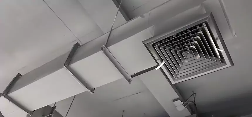 Our Pest Removal From Ducts Services in Tillmans Corner, AL