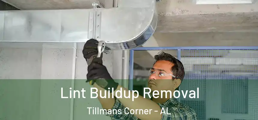  Lint Buildup Removal Tillmans Corner - AL
