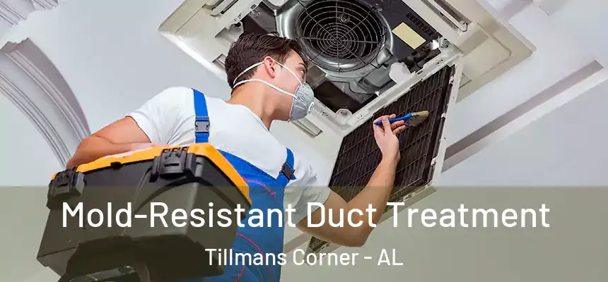  Mold-Resistant Duct Treatment Tillmans Corner - AL