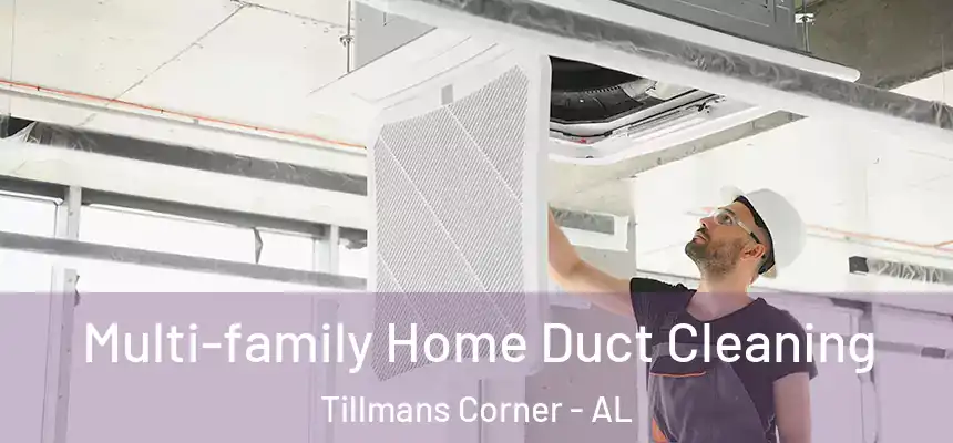  Multi-family Home Duct Cleaning Tillmans Corner - AL