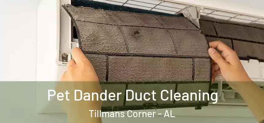  Pet Dander Duct Cleaning Tillmans Corner - AL