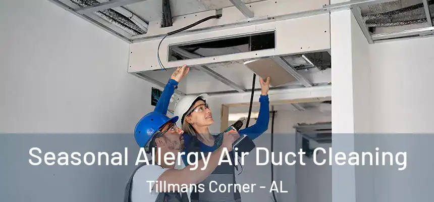  Seasonal Allergy Air Duct Cleaning Tillmans Corner - AL