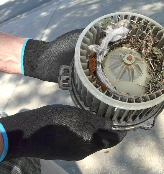 About Air Duct Rat Removal in Tillmans Corner, AL