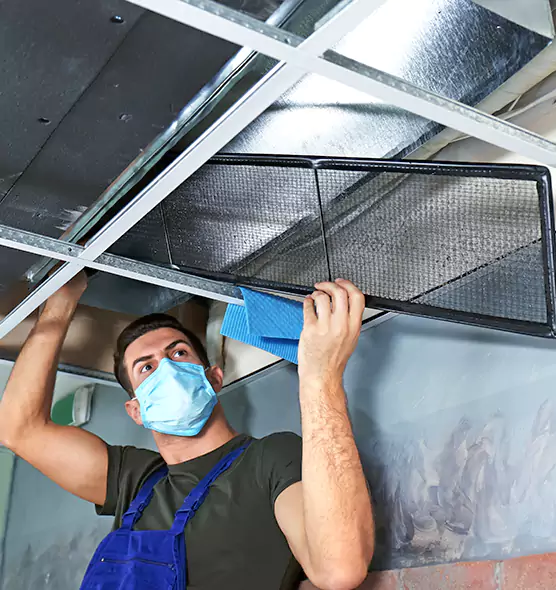 Professional Home Ventilation Cleaning in Tillmans Corner, AL