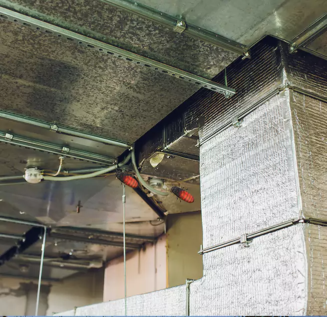 Why Homeowners & Businesses Trust Us in Tillmans Corner, AL?