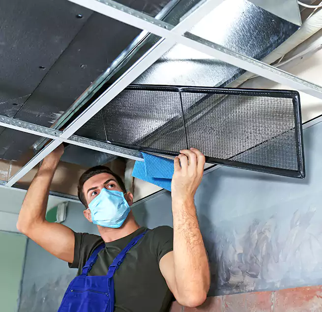 Why Homeowners Businesses Trust Us in Tillmans Corner, AL