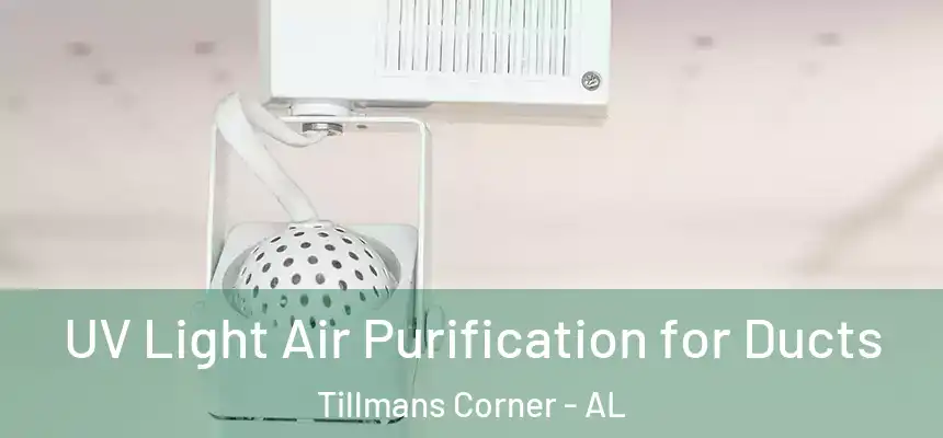  UV Light Air Purification for Ducts Tillmans Corner - AL