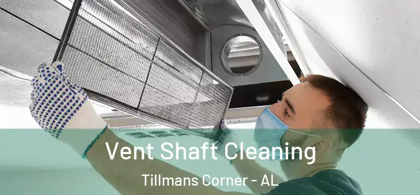  Vent Shaft Cleaning Tillmans Corner - AL