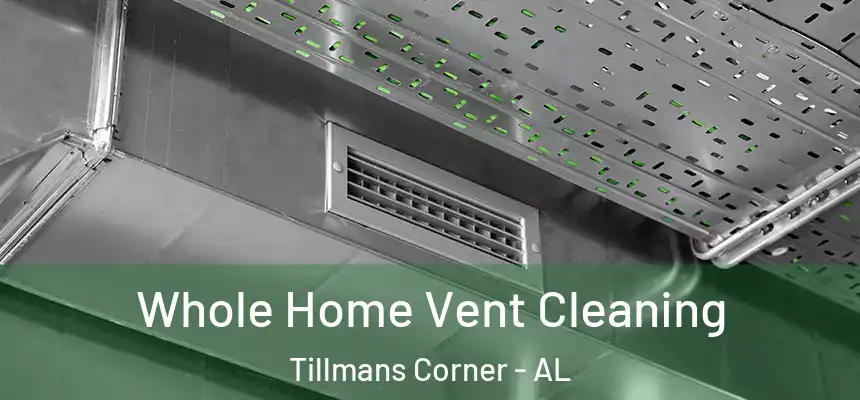  Whole Home Vent Cleaning Tillmans Corner - AL
